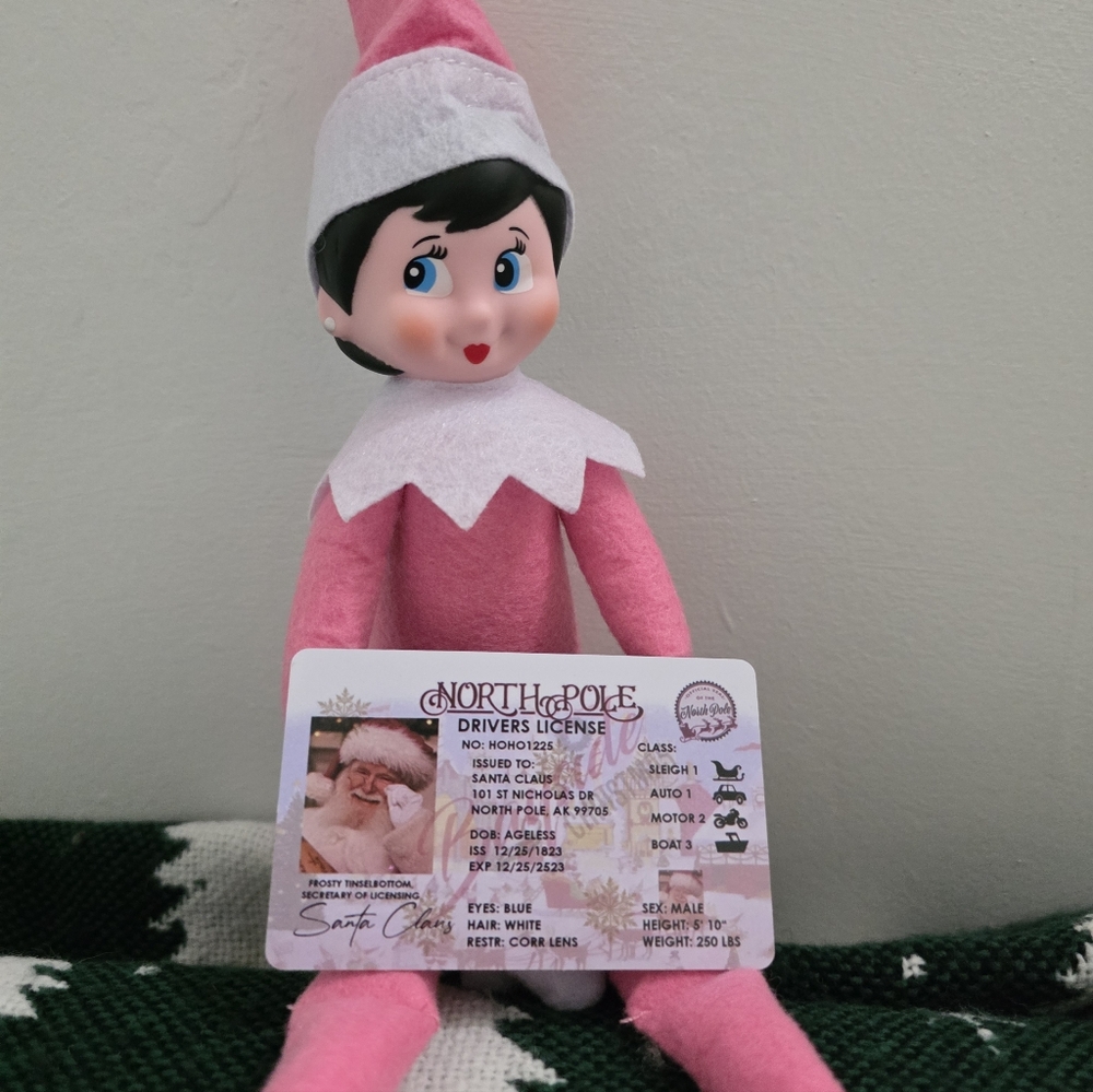 Elf on the Shelf Light Pink Girl + Santa's Driver's License - Picture 2 of 6